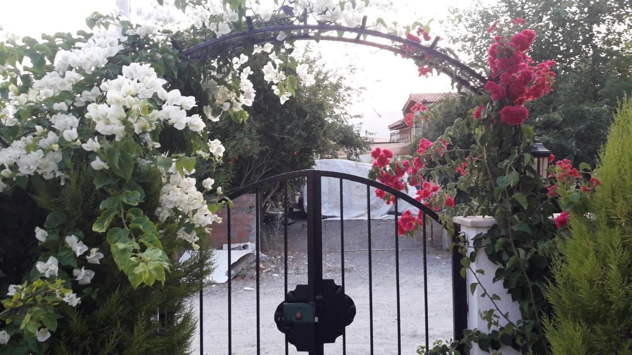 Villa Ebrar Dalyan Muğla Ngoại thất bức ảnh