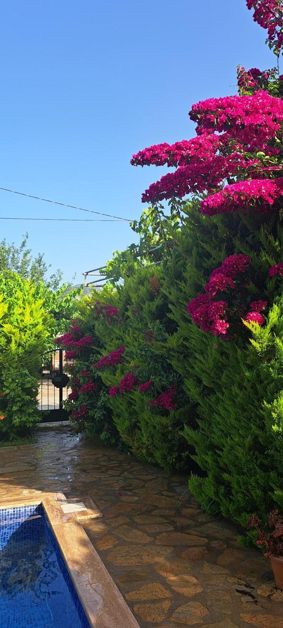 Villa Ebrar Dalyan Muğla Ngoại thất bức ảnh